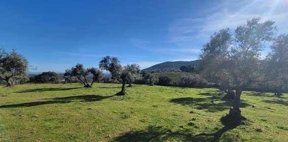 Finca Rústica de 228ha