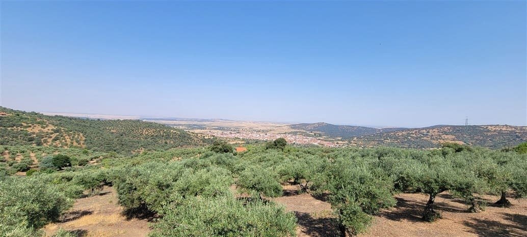 Finca Rústica de 228ha